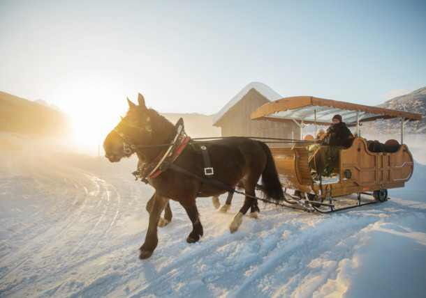     Winter magic, Salzkammergut, Gosau - horse sleigh ride 